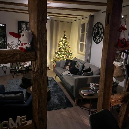 Le Schdorky Apartment Colmar Luaran gambar