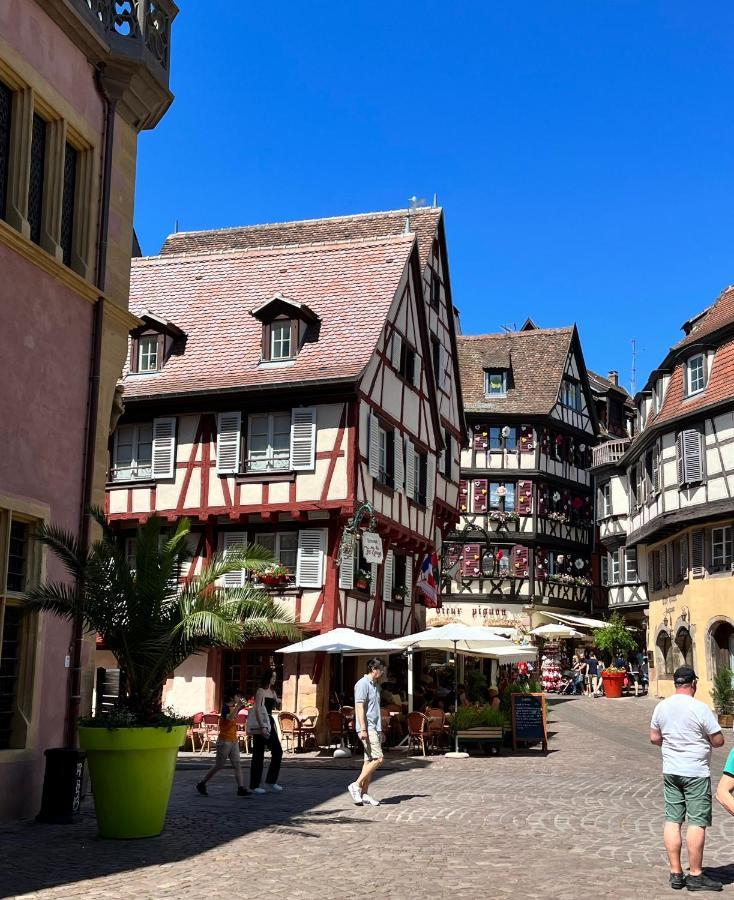 Le Schdorky Apartment Colmar Luaran gambar