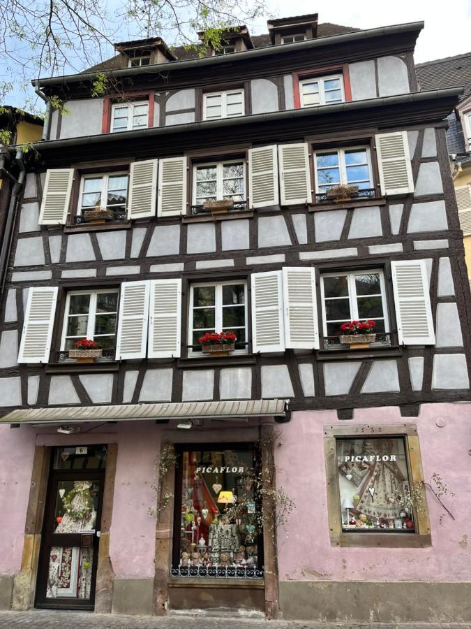 Le Schdorky Apartment Colmar Luaran gambar